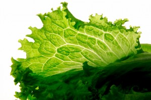 07213_salad_630x420