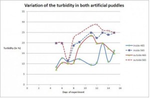 Variation of the turbidity in both artificial puddles