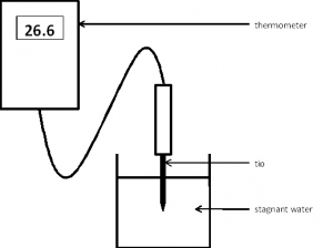 temp