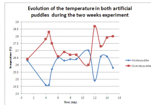 temperature graph